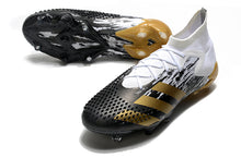 Carregar imagem no visualizador da galeria, CHUTEIRA ADIDAS PREDATOR 20.1 FG - INFLIGHT
